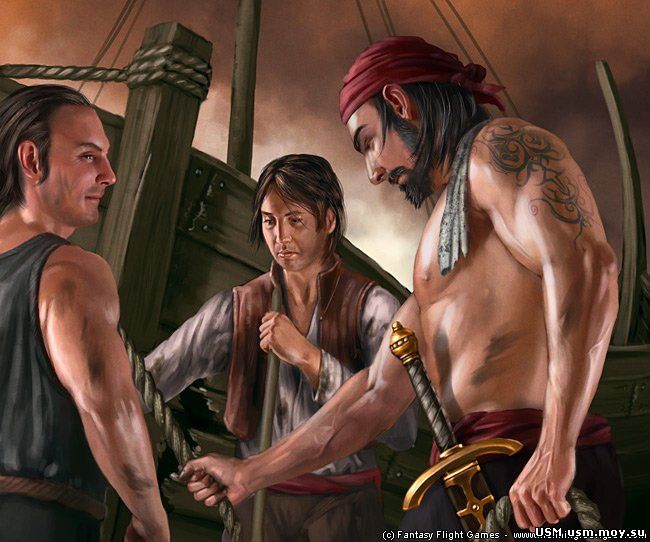 пираты гильдии usm
